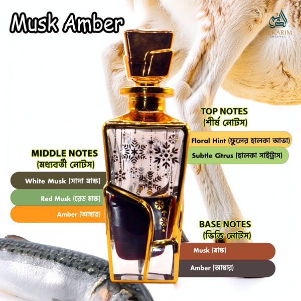 Musk Amber আতরের সুন্দর কাঁচের বোতল, সোনালী নকশা এবং এর সুগন্ধের উপাদানগুলো (শীর্ষ নোট: হালকা ফুলের সুবাস (Light Floral Notes), সামান্য সাইট্রাস (Subtle Citrus); মধ্যবর্তী নোট: মাস্ক (Musk), অ্যাম্বার (Amber); ভিত্তি নোট: মাস্ক (Musk), অ্যাম্বার (Amber), উডি (Woody), ভ্যানিলা (Vanilla)) ছবিতে দেখানো হয়েছে।